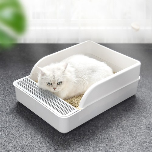 Large cat litter - cat, box