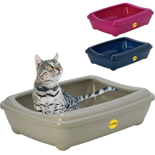 Large open cat - large,