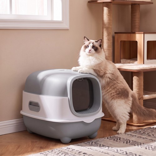 Hooded enclosed cat - hooded,