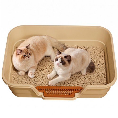 Extra large cat litter - cat, box