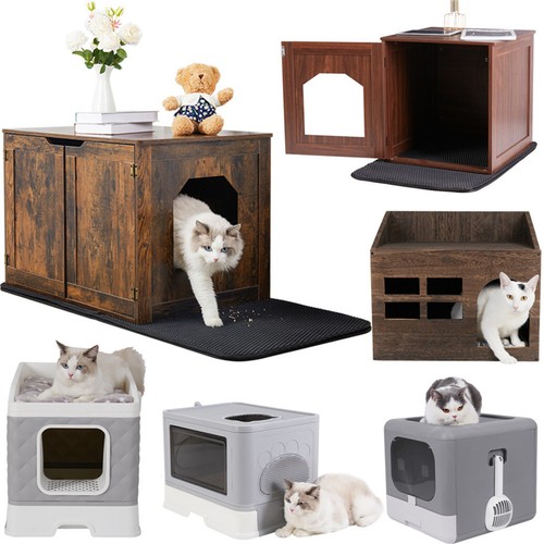 Enclosed hooded cat - cat, box