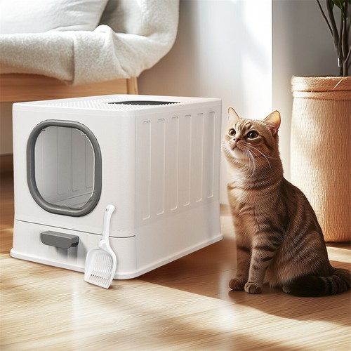 Large cat litter box with - with, lid