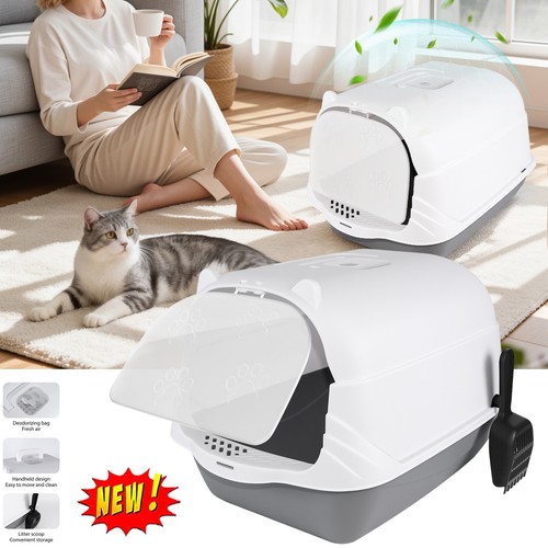 Dayplus cat litter - cat, box