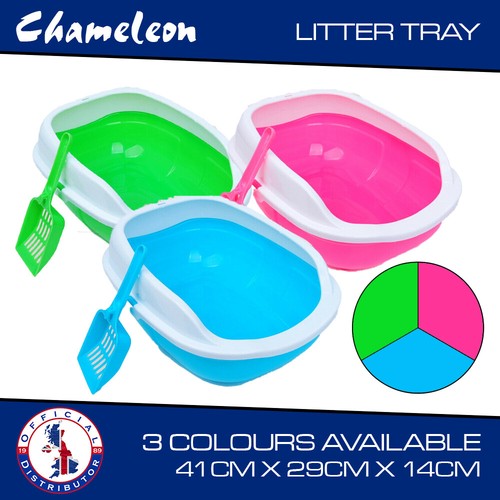 Cat kitten litter tray - tray, box