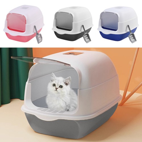 Jumbo hooded cat kitten litter - kitten,