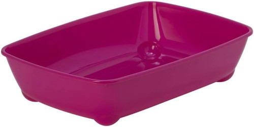 Cat and kitten single litter - kitten,
