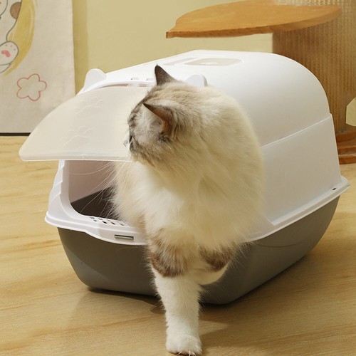 Xlarge cat litter - cat, hooded
