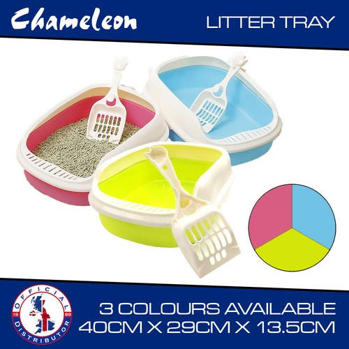 Cat kitten litter - cat,
