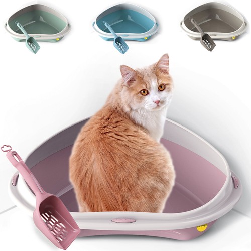 Corner large jumbo cat - corner,