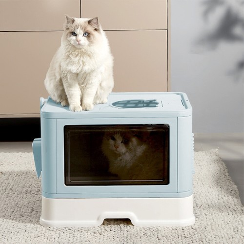 Blue self cleaning hooded cat - hooded,