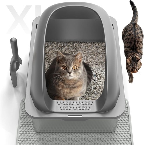 Geoorood cat stainless steel - cat,